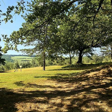 Holiday House Le Selvole Radda in Chianti Zewnętrze zdjęcie