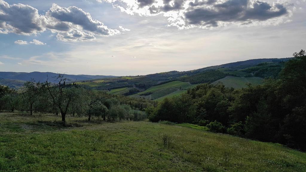 Holiday House Le Selvole Radda in Chianti Zewnętrze zdjęcie