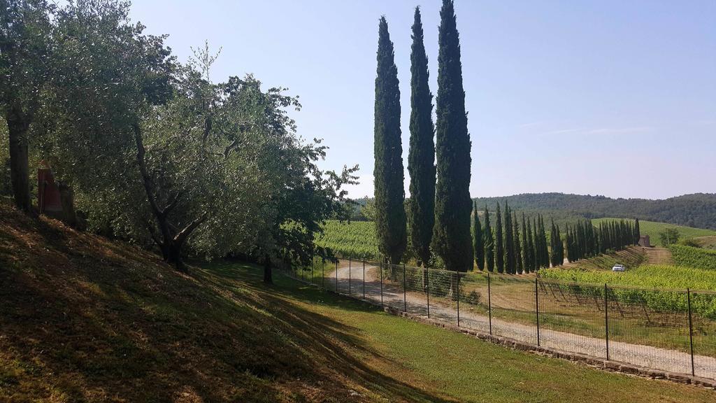 Holiday House Le Selvole Radda in Chianti Zewnętrze zdjęcie