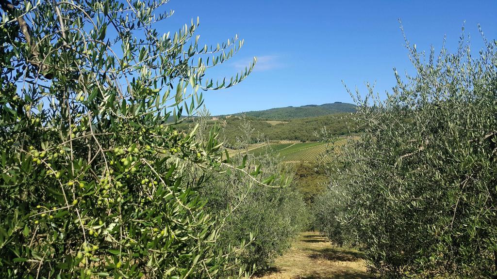 Holiday House Le Selvole Radda in Chianti Zewnętrze zdjęcie