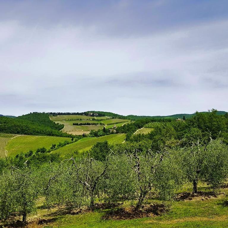 Holiday House Le Selvole Radda in Chianti Pokój zdjęcie