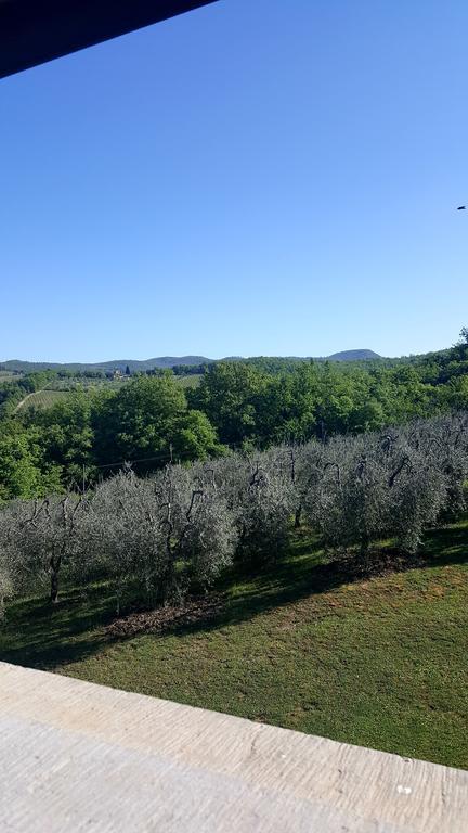Holiday House Le Selvole Radda in Chianti Zewnętrze zdjęcie
