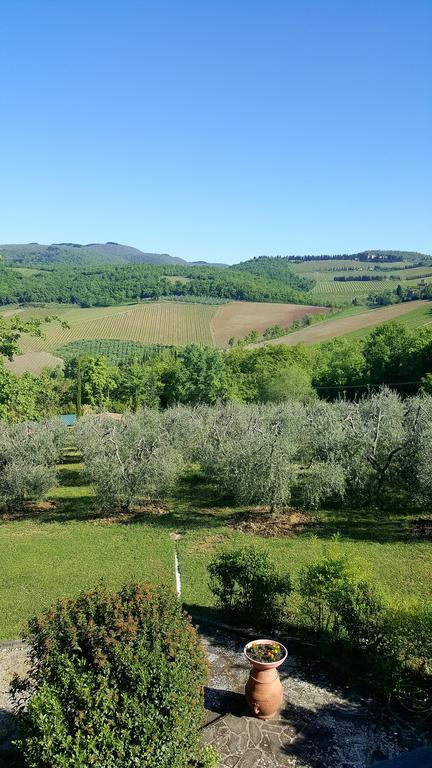 Holiday House Le Selvole Radda in Chianti Zewnętrze zdjęcie