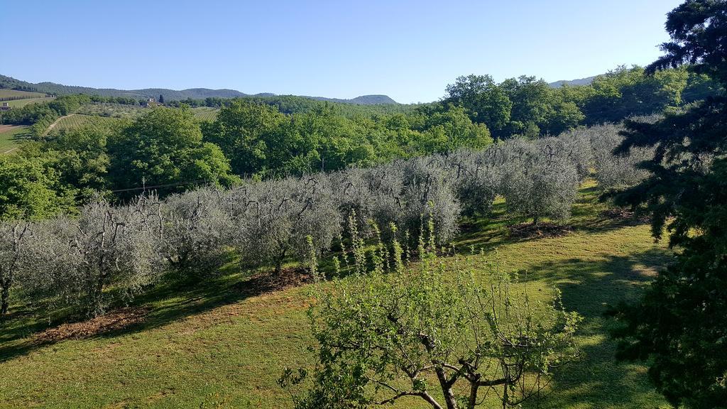 Holiday House Le Selvole Radda in Chianti Zewnętrze zdjęcie