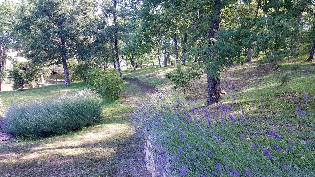 Holiday House Le Selvole Radda in Chianti Zewnętrze zdjęcie