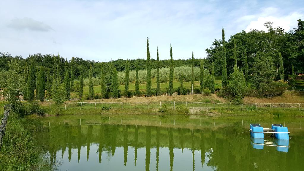 Holiday House Le Selvole Radda in Chianti Zewnętrze zdjęcie